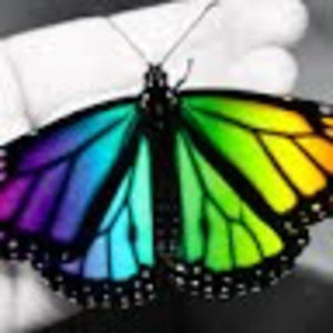 Meet your Posher, Sultana